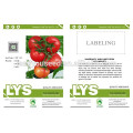 T09 Jida semillas híbridas resistentes más fuertes del tomate de la capacidad de TYLCV para la venta